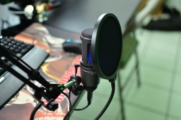 Condenser Microphone