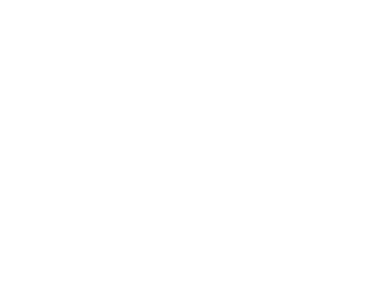 Gamer advantage logo
